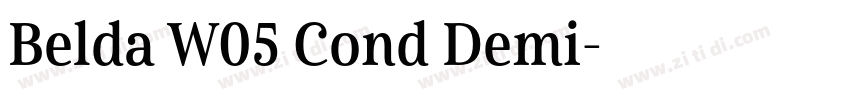 Belda W05 Cond Demi字体转换